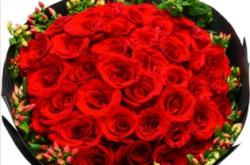 赤峰團(tuán)購(gòu)鮮花市場(chǎng)電話號(hào)碼