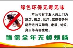 赤峰市滅老鼠電話多少啊