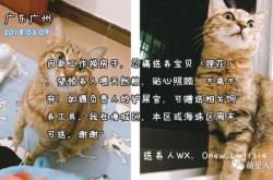 赤峰免費領養(yǎng)寵物店電話號碼