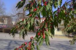 赤峰敖漢劇院官網(wǎng)電話號(hào)碼