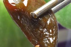 赤峰廢舊醬油廠地址電話號(hào)碼