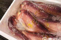 赤峰低價海鮮貨源批發(fā)電話號碼