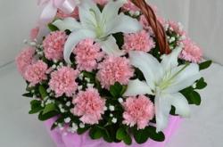 赤峰鮮花同城團(tuán)購(gòu)電話地址查詢