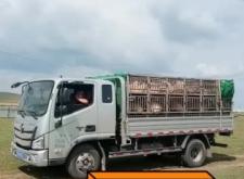 赤峰羊羔火鍋店電話號(hào)碼多少