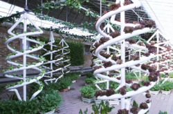 赤峰富力嘉年華物業(yè)電話號碼