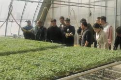 赤峰寧城賣牛肉電話號碼多少