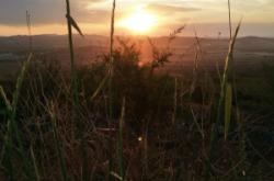 赤峰市元寶山賣房電話號碼