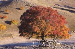 赤峰依潔百貨電話號(hào)碼