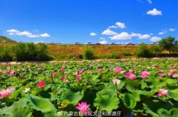 赤峰春天附近有什么