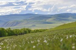 赤峰到東山的拼車(chē)電話(huà)號(hào)碼