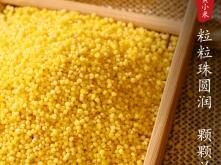 小米赤峰售后地址查詢電話號碼