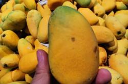 赤峰王胖子水果超市電話號(hào)碼