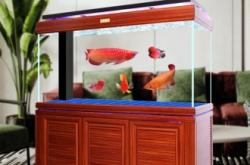 赤峰水族館魚(yú)缸轉(zhuǎn)讓電話(huà)號(hào)碼