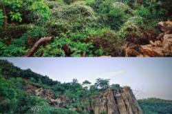 赤峰交友脫單平臺(tái)官網(wǎng)電話(huà)號(hào)碼