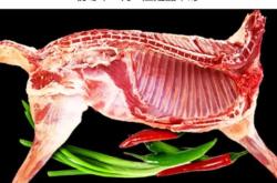 赤峰進(jìn)口白條羊肉批發(fā)電話號碼