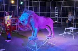 皇家馬戲赤峰店電話號碼