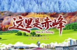 赤峰澤眾木業(yè)電話號碼查詢