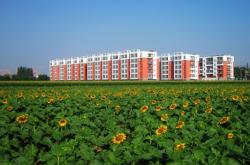 赤峰紅山區(qū)方舟醫(yī)院電話號碼