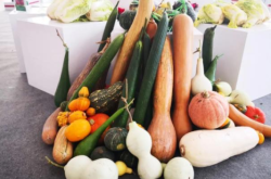 赤峰碩果雙胞胎媽媽電話號(hào)碼