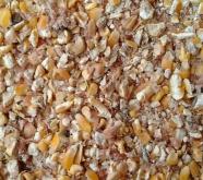 赤峰酒精廠收玉米電話號碼