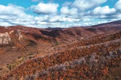 赤峰馳航汽修電話號(hào)碼查詢