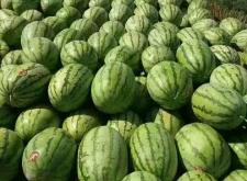 內(nèi)蒙赤峰潤滑油代理電話號碼