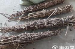 赤峰市收購(gòu)甘草的電話(huà)