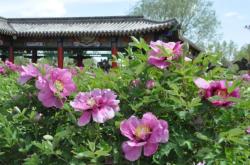 赤峰寧城移動(dòng)婚宴電話號碼查詢