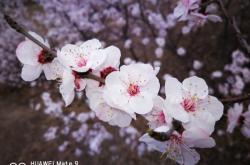 赤峰文普?qǐng)D書城電話號(hào)碼