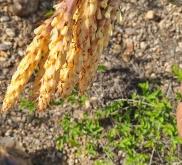 赤峰喀喇沁繪本館電話號碼