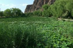 赤峰紅山區(qū)送菜上門(mén)電話(huà)號(hào)碼