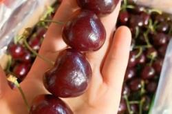 赤峰同城肉菜配送電話號(hào)碼