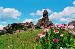 赤峰美林谷防疫站電話號碼