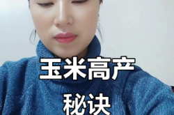 赤峰市玉米追肥公司電話號碼