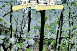 赤峰果園菜園電話號(hào)碼多少號(hào)