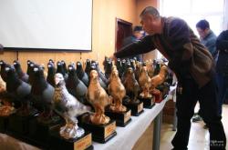 赤峰獎(jiǎng)杯定制地址電話號(hào)碼查詢(xún)