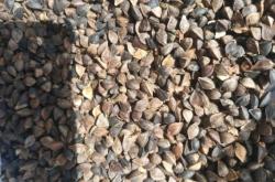 赤峰網(wǎng)帶經(jīng)銷批發(fā)電話號(hào)碼