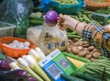 赤峰賣花小攤電話多少號(hào)碼