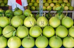 赤峰萬(wàn)達(dá)柚子店電話地址查詢