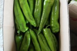 赤峰辣椒合作社地址電話號碼