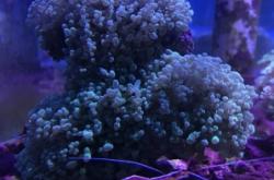 赤峰鑫源水族館電話(huà)號(hào)碼