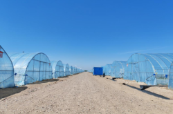 赤峰大棚種植戶電話多少號