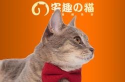 赤峰紅山區(qū)貓舍地址電話號碼