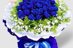 赤峰訂閱鮮花網(wǎng)站電話號(hào)碼