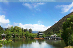 赤峰到中衛(wèi)機(jī)票查詢電話號(hào)碼