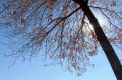 張家灣到赤峰班車電話號碼