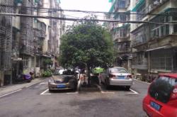 赤峰龍熙園小區(qū)物業(yè)電話號(hào)碼