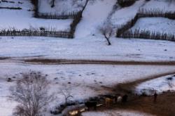 赤峰內(nèi)蒙牛屠宰場電話號碼