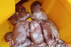 赤峰豬腰批發(fā)電話多少號