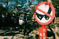 赤峰音樂節(jié)帳篷租賃電話號碼